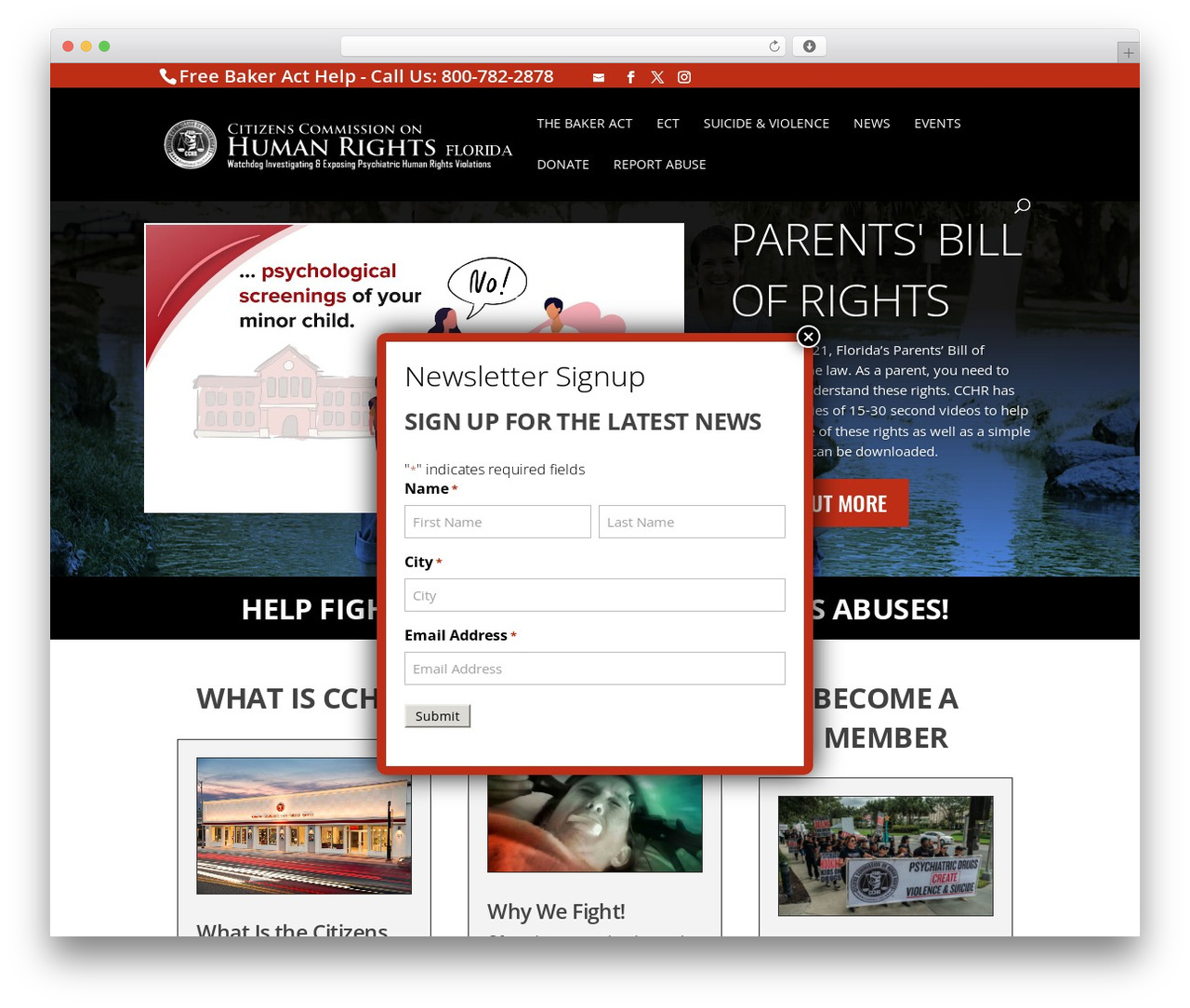 WP theme Divi Child - cchrflorida.org