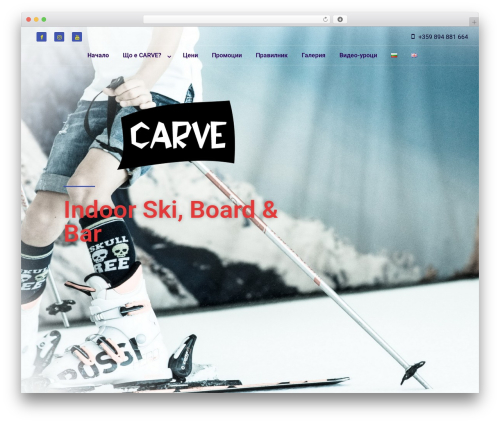 WP theme Twenty Seventeen - carve.bg