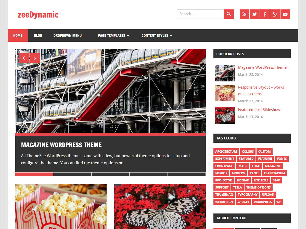 zeeDynamic WordPress theme free download
