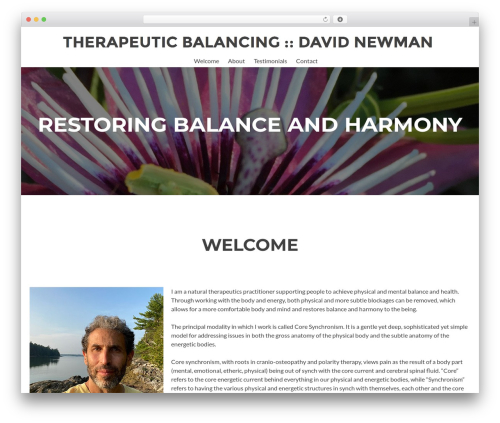 Zerif Lite free WP theme - therapeuticbalancing.com