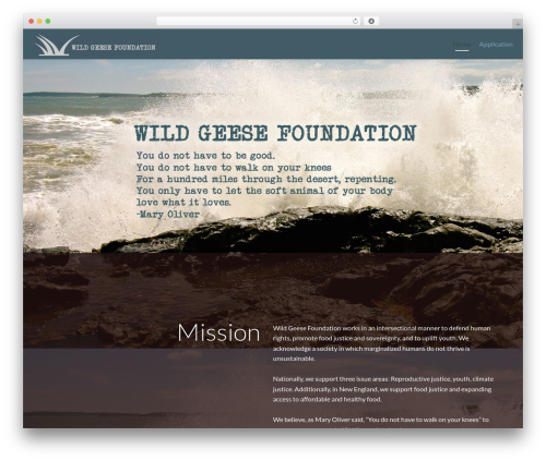 Zerif PRO WordPress theme - wildgeesefdn.org